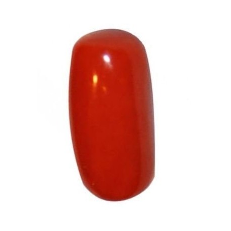 Munga (Coral)